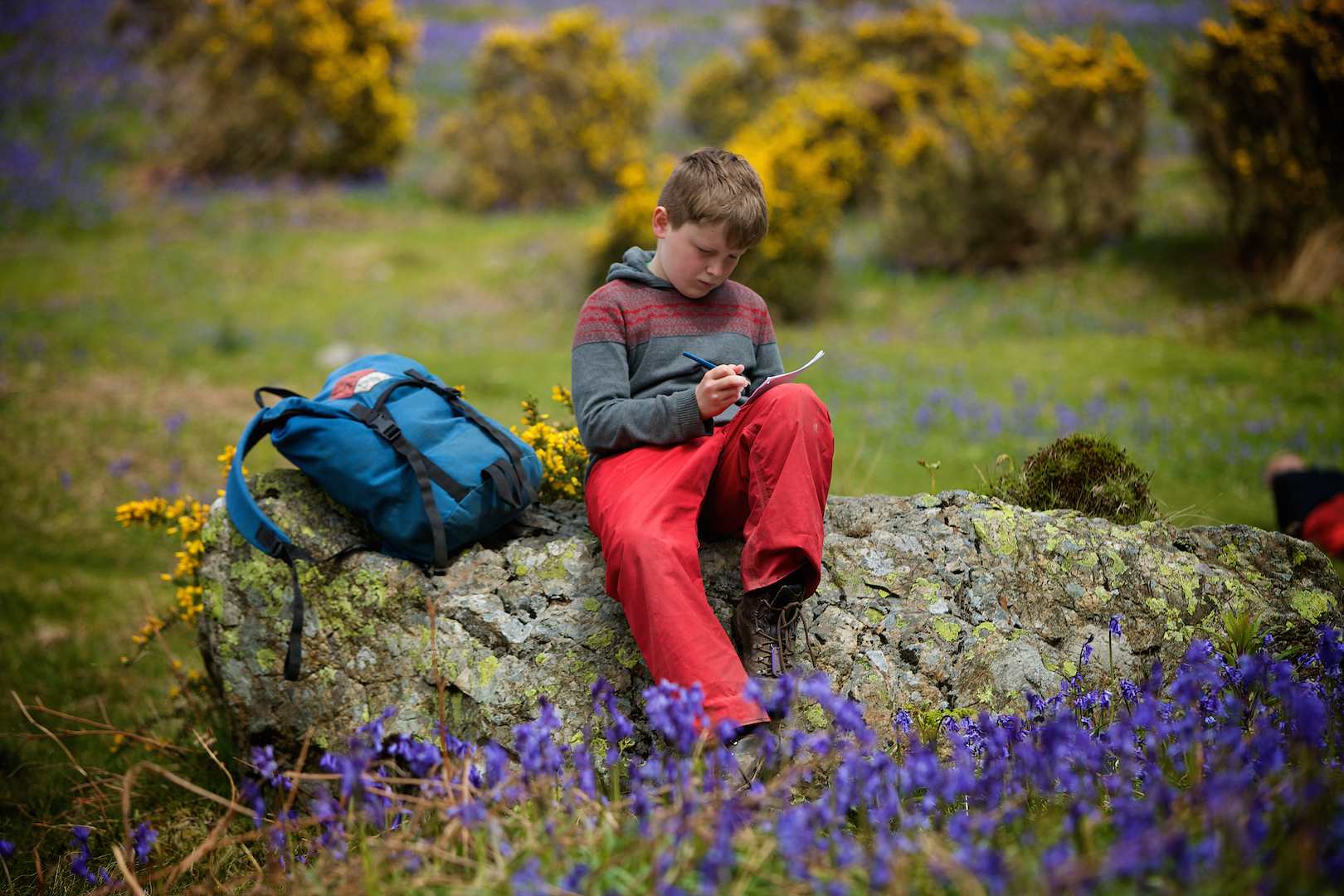 Pupil sitting on a boulder drawing the bluebells